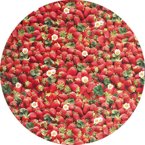 Raved Rond Tafelzeil ø 160 cm - Aardbeien